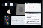 Foto (Objekt + Etikett) von Lecythocaris sp.  (NHMW-GEO-2014-0194-0208)